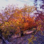 Enrique GarciÌa Bravo 5